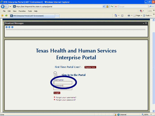 Screenshot of Portal Logon page